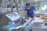 Việt Nam xuất hiện ca mắc bệnh cúm A/H5 trên người sau hơn 8 năm