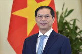 越南外交部长裴青山：越南将继续为联合国维和行动做出积极贡献