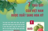 7 trái cây của Việt Nam được xuất sang Hoa Kỳ