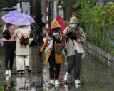 Từ chiều 28-12, Bắc Bộ và Thanh Hóa có mưa, rét đậm 10-13 độ C