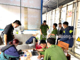 Kiểm tra kho hàng thực phẩm đông lạnh quy mô lớn tại Thuận An, chủ hàng chưa chứng minh được nguồn gốc