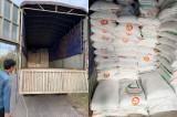 Công an huyện Phú Giáo: Bắt quả tang xe container vận chuyển 35 tấn đường cát nghi nhập lậu