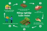 2022年越南循环农业发展迈出新一步