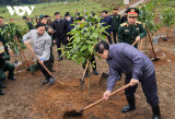 PM launches tree planting festival in lunar New Year