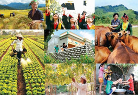 今年力争实现全国多维贫困率年均下降1%到1.5%的目标
