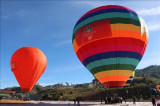 题为“飞回大森林”的热气球节在昆嵩省举行