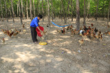 Hội nông dân xã Minh Hòa: Phát huy vai trò nòng cốt