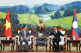 Thúc đẩy hợp tác giữa hai Ban Đối ngoại Trung ương Việt Nam và Lào
