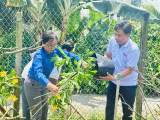 Chi đoàn Báo Bình Dương tổ chức về nguồn thăm nhà lưu niệm Nhà giáo - Liệt sĩ Lê Thị Thiên