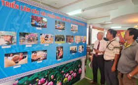 Nhiếp ảnh đồng hành cùng sự phát triển của Bình Dương