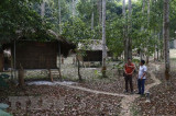 Du lịch dưới tán rừng - Hướng đi mới của tuổi trẻ Tuyên Quang