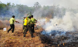 Chủ động phòng, chống cháy rừng mùa khô