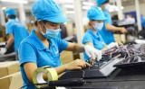 Vietnam to take advantage of demographics to drive economy