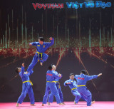 Vovinam and the worldclass dream