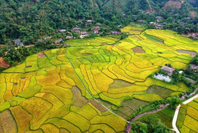 Lào Cai: Khai hội “Sắc vàng bên dòng Nậm Luông” 2023
