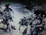 Xe đạp thồ - “Vua vận tải” của chiến trường Điện Biên Phủ năm xưa