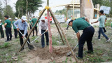 Vietcombank在Đ 战区历史遗迹区种植了1000棵树