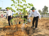 发起“世世代代铭记胡伯伯之恩”的植树节活动。