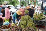 Lai Thieu fruit season festival 2023 kicks off