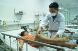 WHO gửi khẩn thuốc hiếm cứu bệnh nhân ngộ độc botulinum tại Việt Nam