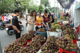 Lai Thieu ripe fruit festival 2023 elevates Binh Duong tourism
