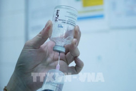 Vietnam to set up three to six storage centres for rare drugs