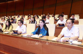 越南第十五届国会第五次会议：通过《电子交易法》（修正案）