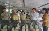 Hội nông dân huyện Bàu Bàng: Chủ động trong công tác tham mưu, phối hợp