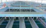 提高水资源开发和利用效率
