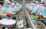 越南食品加工业发展潜力巨大 投资吸引力强