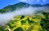Vietnamese destinations continue earning int’l recognition