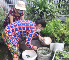 Những dấu hiệu nhận biết bệnh sốt xuất huyết