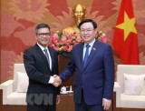 Củng cố tình hữu nghị, Đối tác Chiến lược Việt Nam-Indonesia