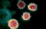 Israel phát hiện biến thể mới EG.5.1 của virus SARS-COV-2