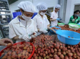 Austria a promising market for Vietnamese fruits: Experts