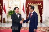 Chủ tịch Quốc hội kết thúc chuyến thăm Indonesia, dự AIPA-44 và thăm Iran