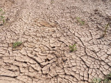 Indonesia disaster agency warns of drought in Java, Bali amid El Niño