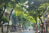 Thủ đô Hà Nội và Bắc Bộ ngày nắng nóng, đêm có mưa vừa, dông