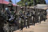 Niger: 'Việc can thiệp của ECOWAS sẽ vấp phải kháng cự quyết liệt'