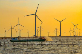 Science and technology key to achieve net-zero emission goal: Expert