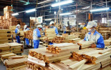 Wood product export shows signs of gradual recovery