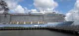 Bà Rịa-Vũng Tàu đón tàu du lịch có hơn 4.000 khách quốc tế