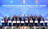 Implementation of investment cooperation projects between Vietnam and Singapore promoted