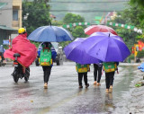 Thời tiết ngày khai giảng: Bắc Bộ nắng, Trung Bộ và Nam Bộ mưa, dông