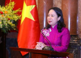Vietnam, Mozambique see great potential for cooperation: Ambassador