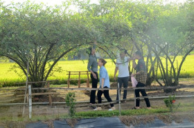 Tiền Giang: Du lịch nông nghiệp hấp dẫn du khách trong và ngoài nước