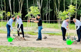 乐高集团完成在平阳工厂种植 5万棵树的承诺