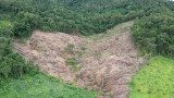 Gia Lai: Phát hiện gần 5 ha rừng tự nhiên bị tàn phá trái phép