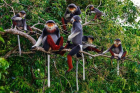 Ninh Thuan secures sustainable future through biodiversity