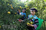 传播越南人口极少民族传统文化特色